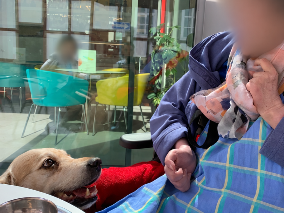 Gemeinsame Pause im Café mit einem Hund.