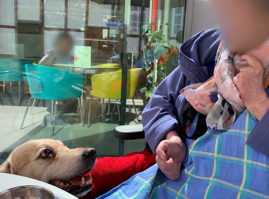 Gemeinsame Pause im Café mit einem Hund.