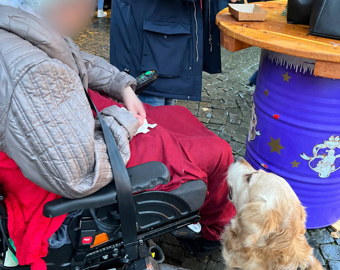 Besuch auf dem Weihnachtsmarkt mit Rollstuhl und Hund.