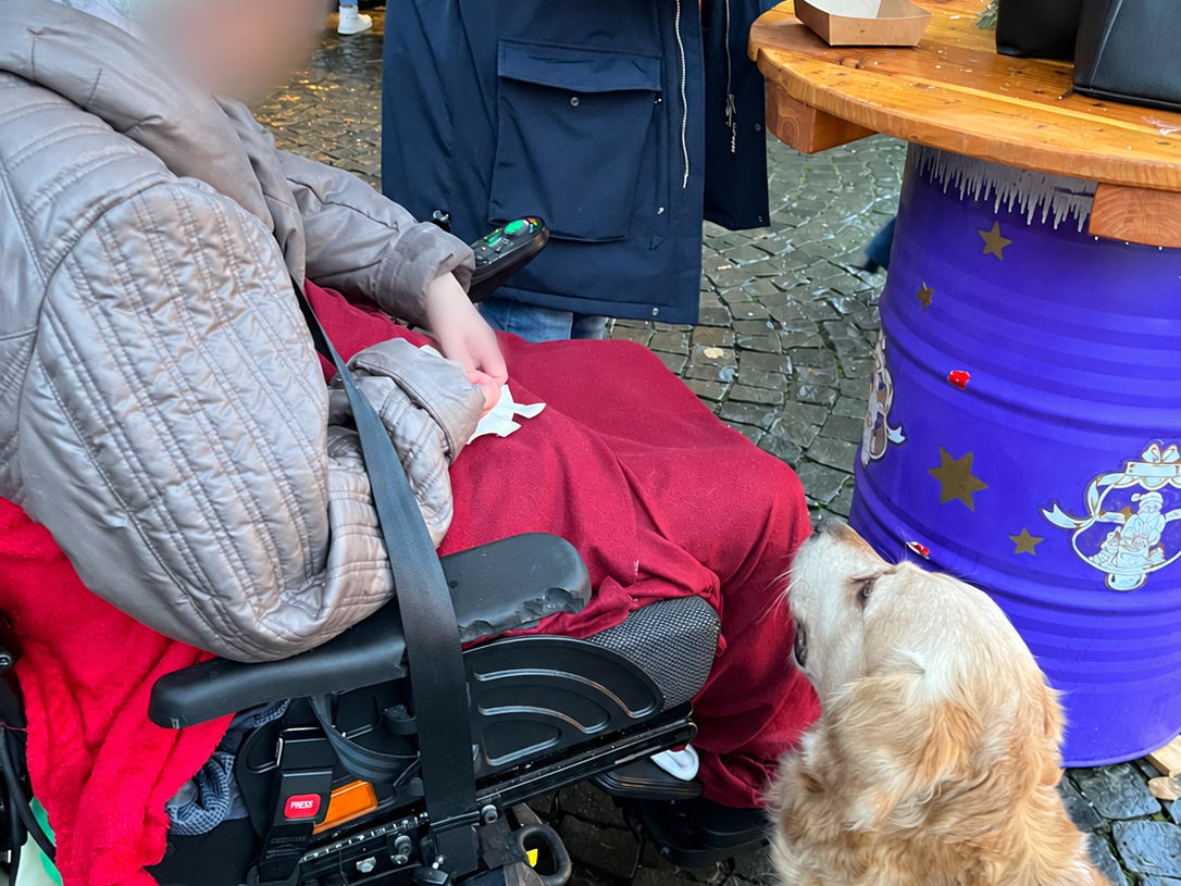 Besuch auf dem Weihnachtsmarkt mit Rollstuhl und Hund.