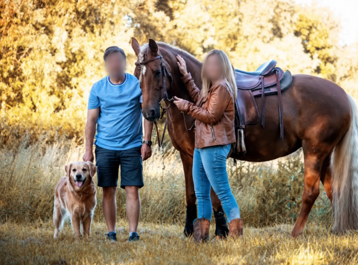 Zwei Menschen mit einem Pferd und einem Hund auf einer Wiese.